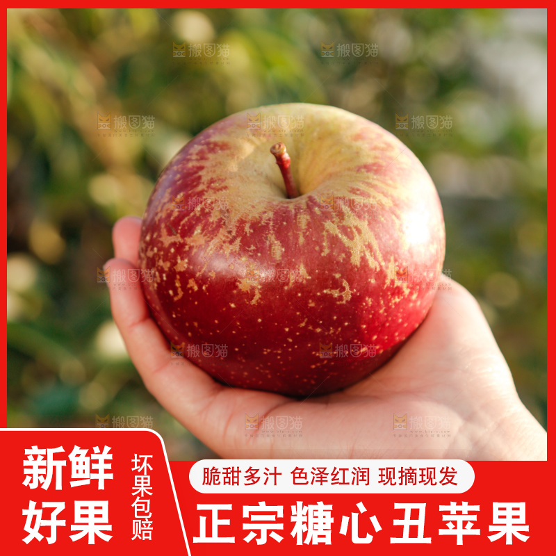 手里拿着丑苹果
