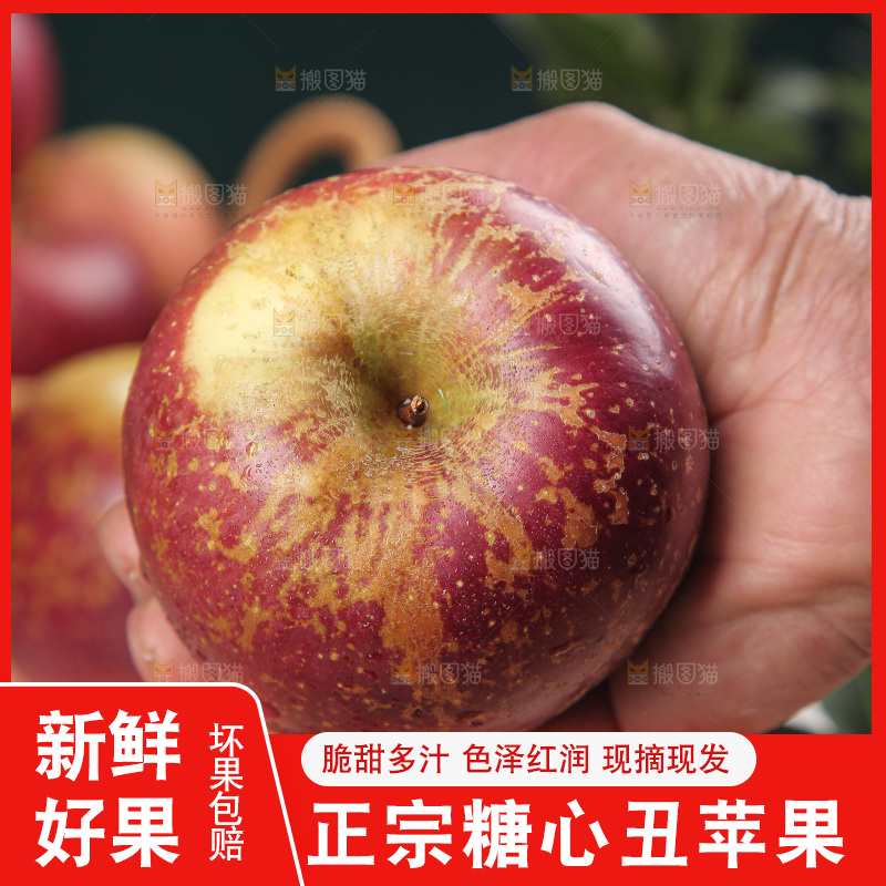 深底上手里拿着丑苹果