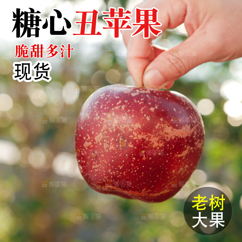 手里拿着丑苹果