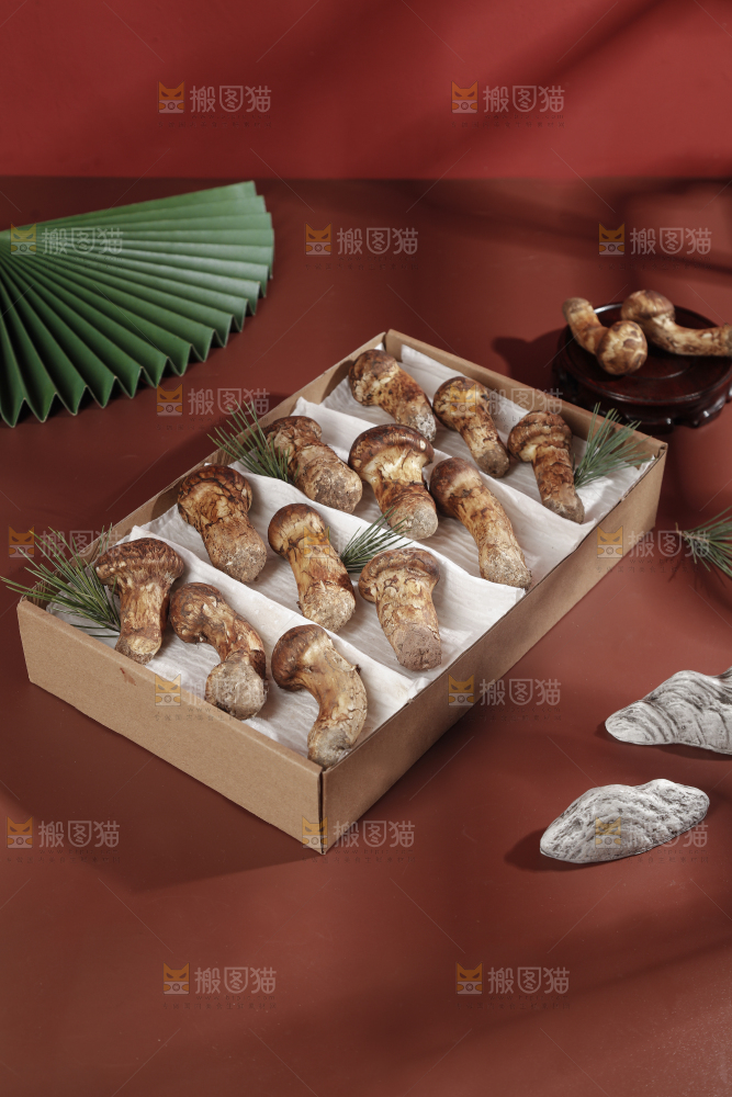 深底上的松茸菇