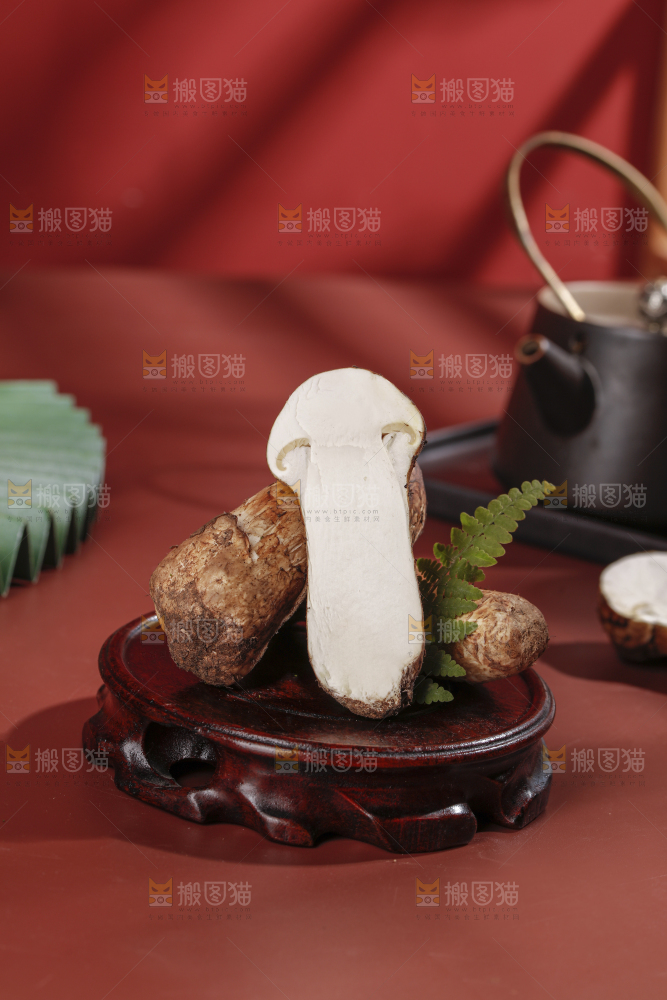 深底上的松茸菇