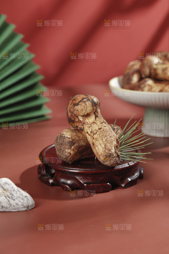 深底上的松茸菇