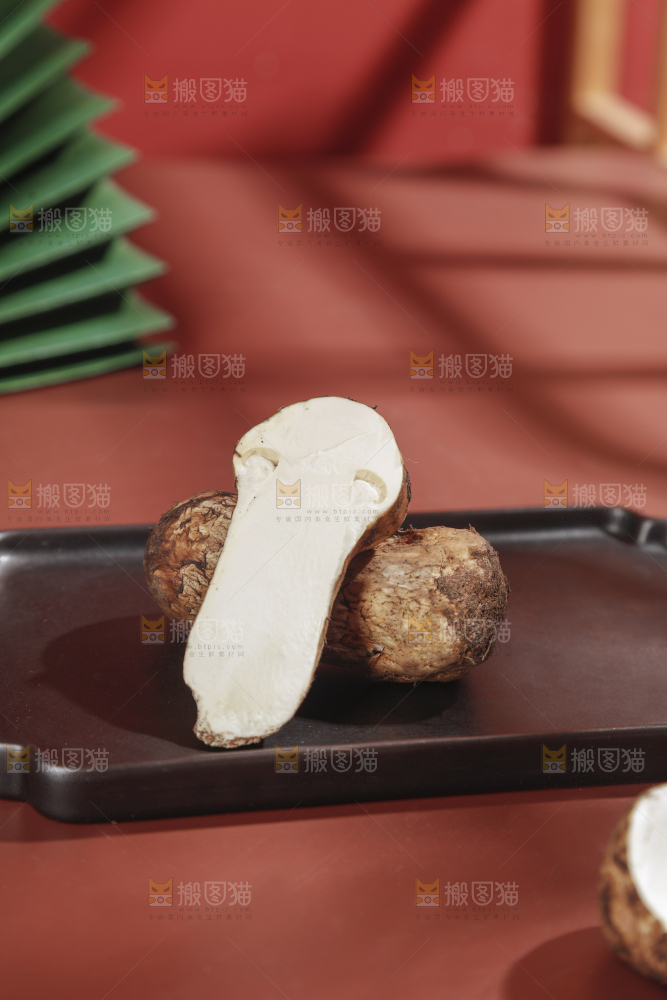 深底上的松茸菇