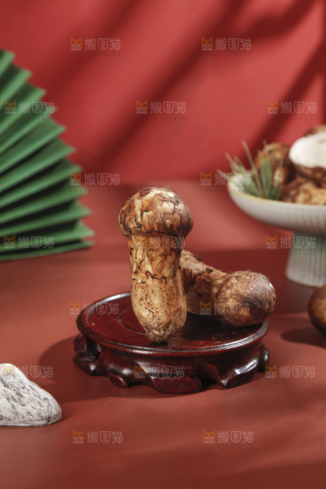 深底上的松茸菇
