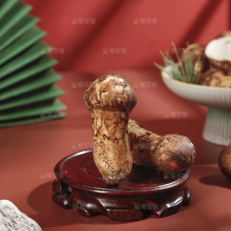 深底上的松茸菇