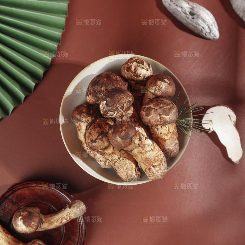 深底上的松茸菇