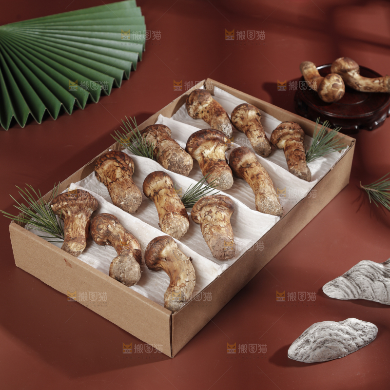 深底上的松茸菇