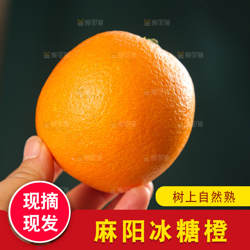 深底上的麻阳冰糖橙