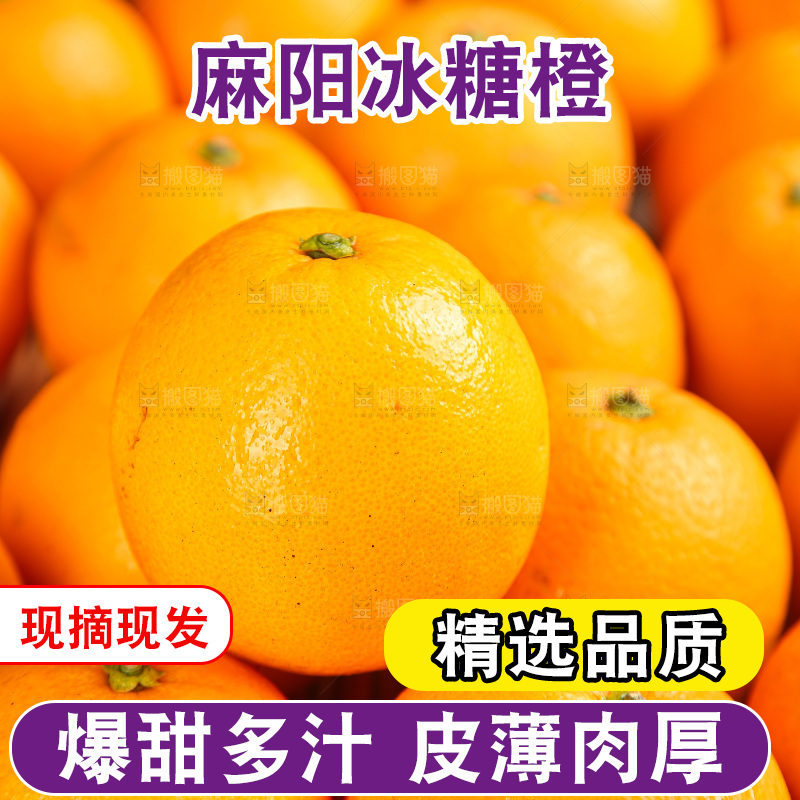深底上的麻阳冰糖橙