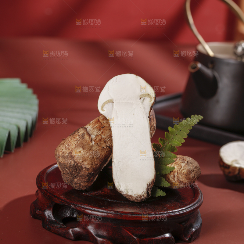 深底上的松茸菇