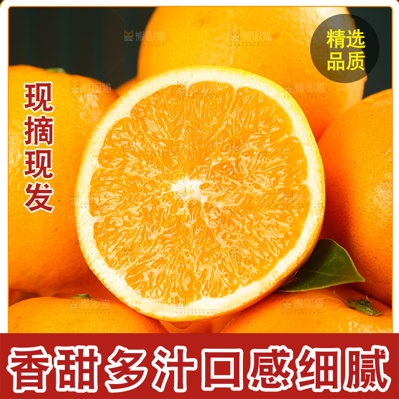 深底上的麻阳冰糖橙