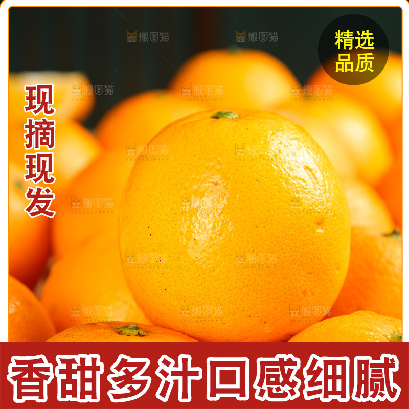 深底上的麻阳冰糖橙