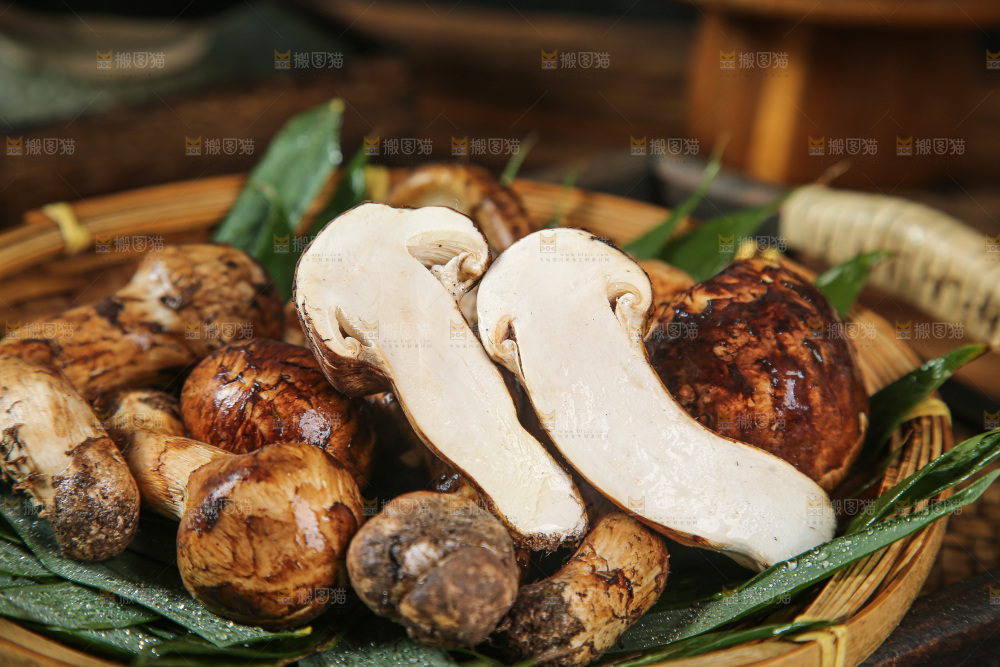 深底上的松茸菇