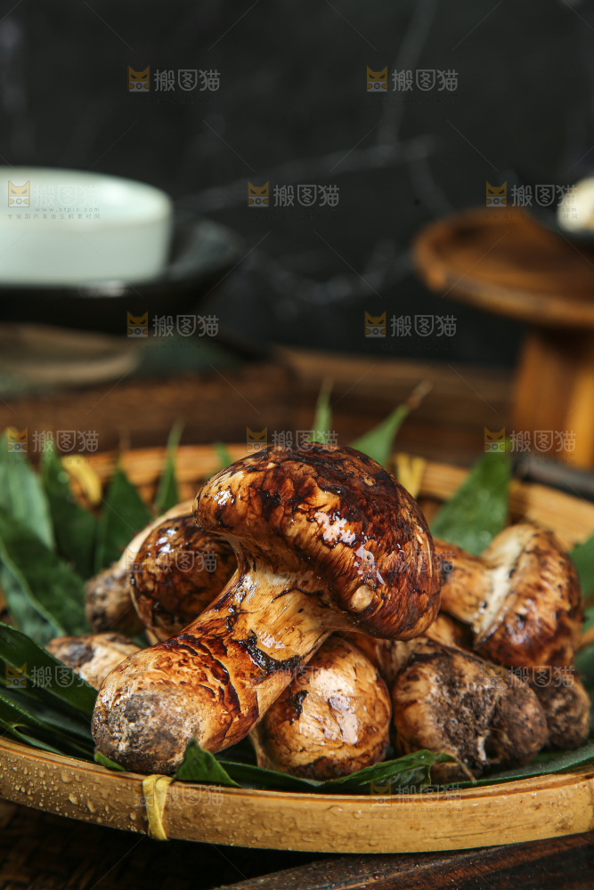 深底上的松茸菇