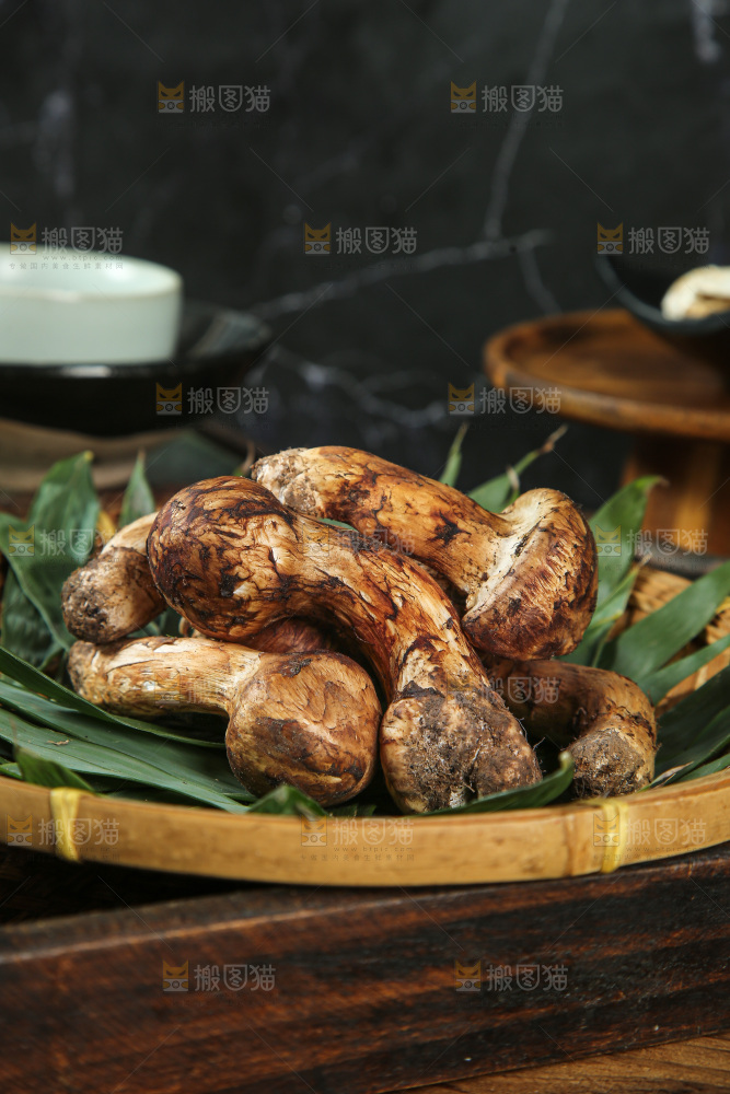 深底上的松茸菇