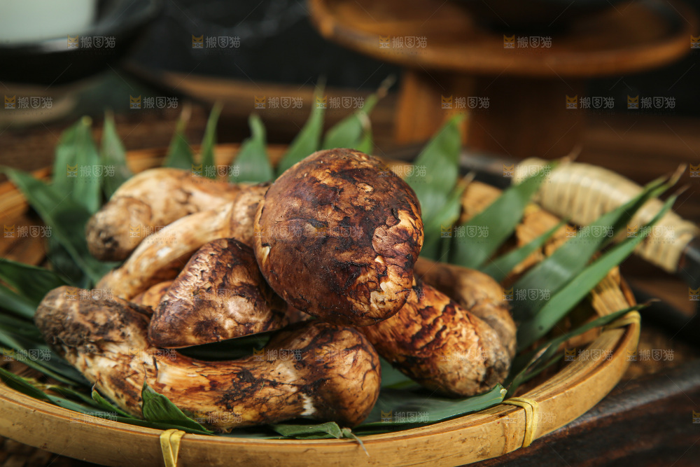 深底上的松茸菇