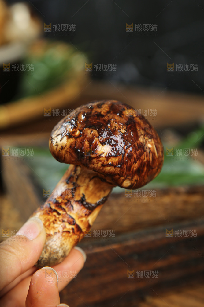 深底上的松茸菇