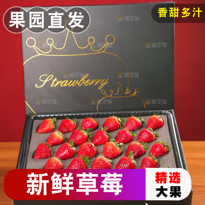 礼盒装的黑金刚草莓