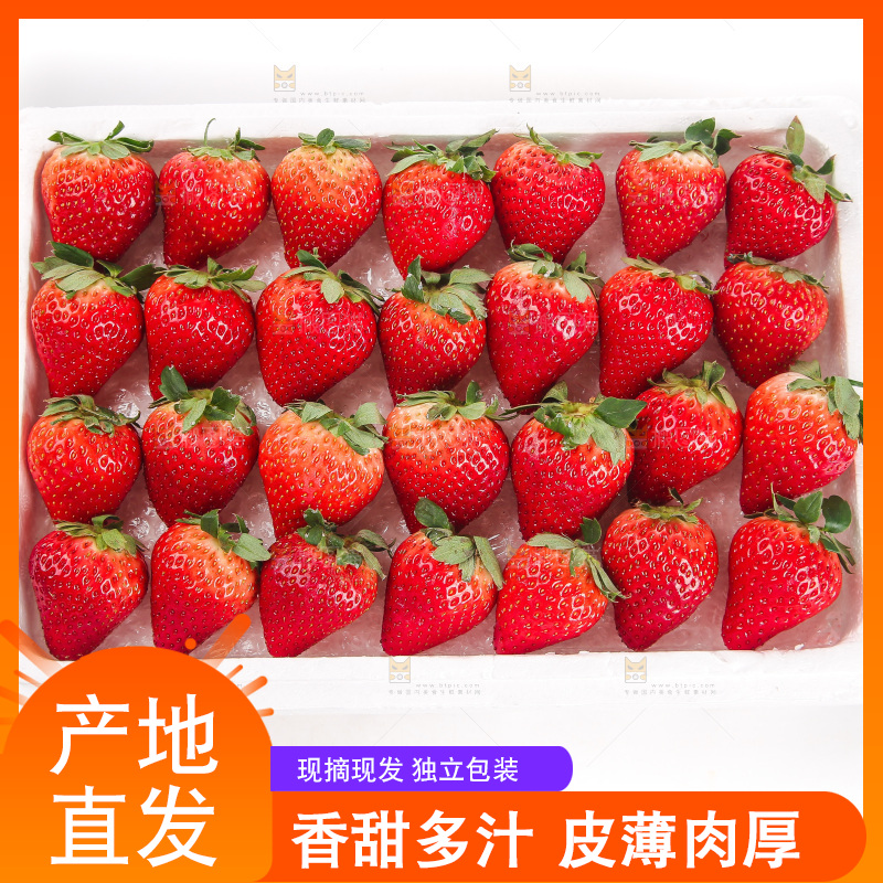 白底上的草莓