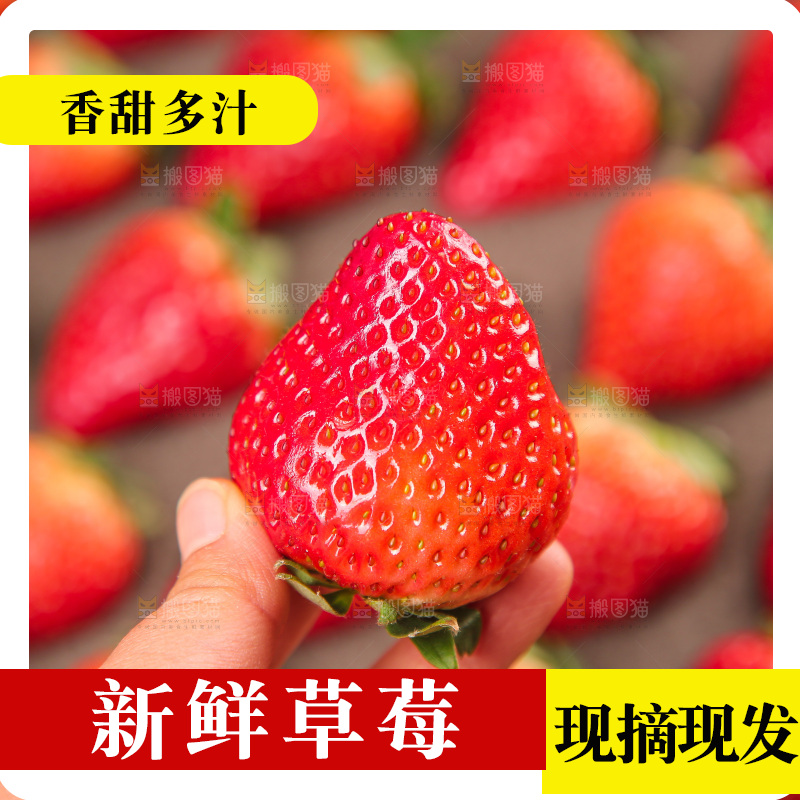 浅底上的丹东草莓