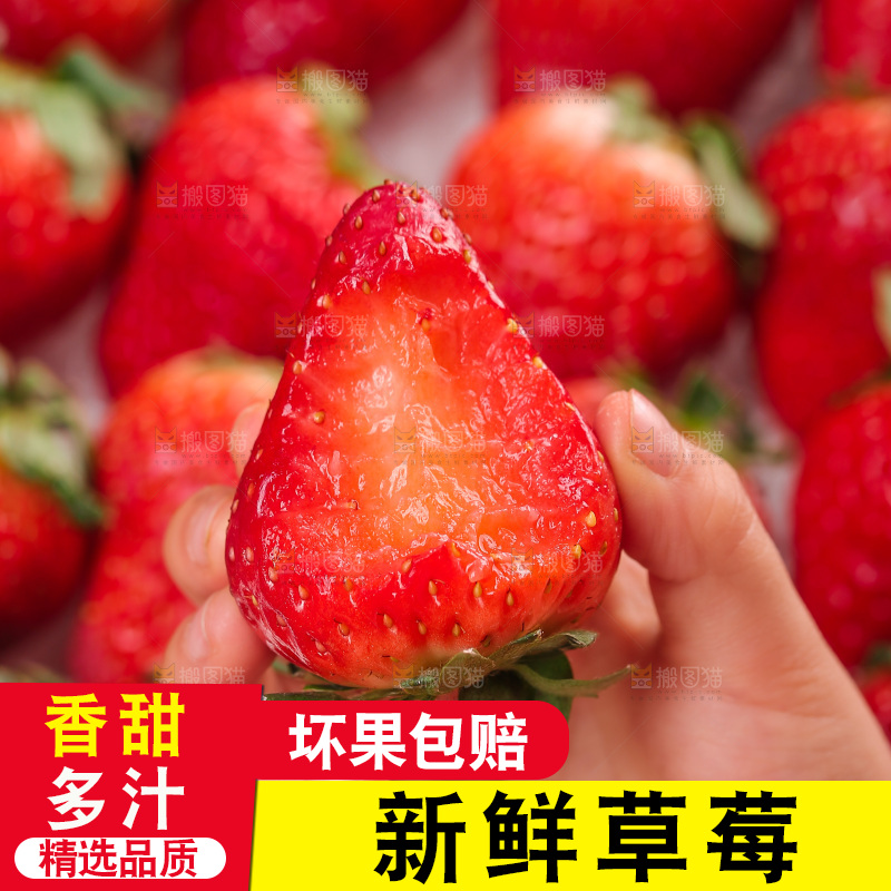 浅底上的丹东草莓