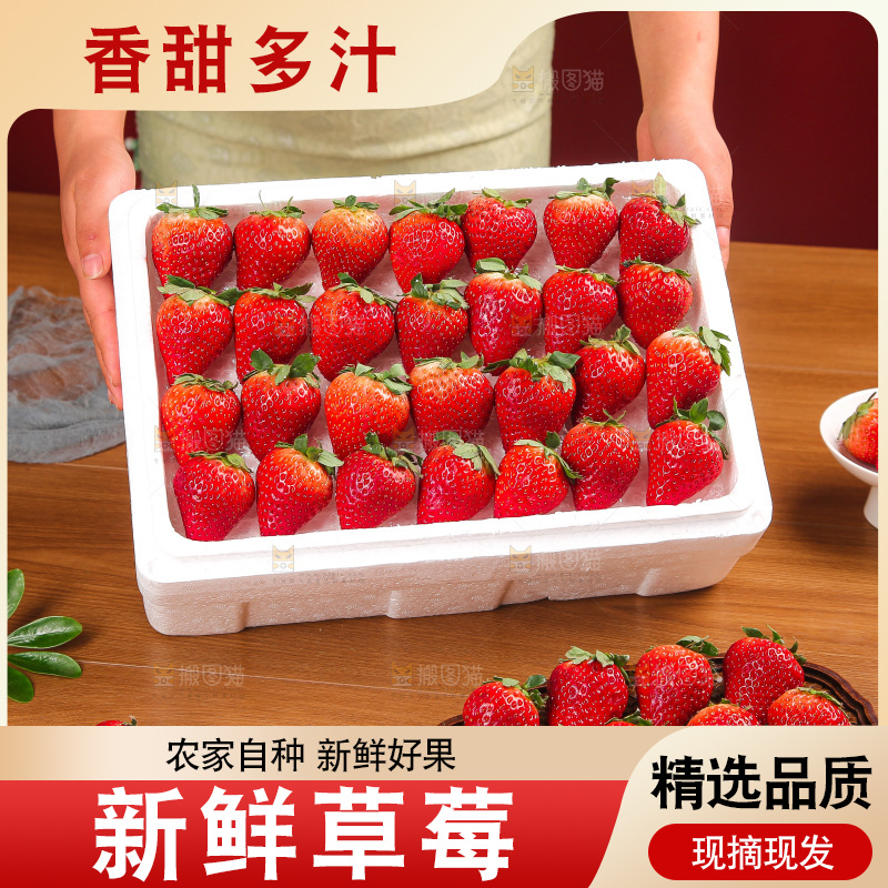 箱子里装的新鲜草莓