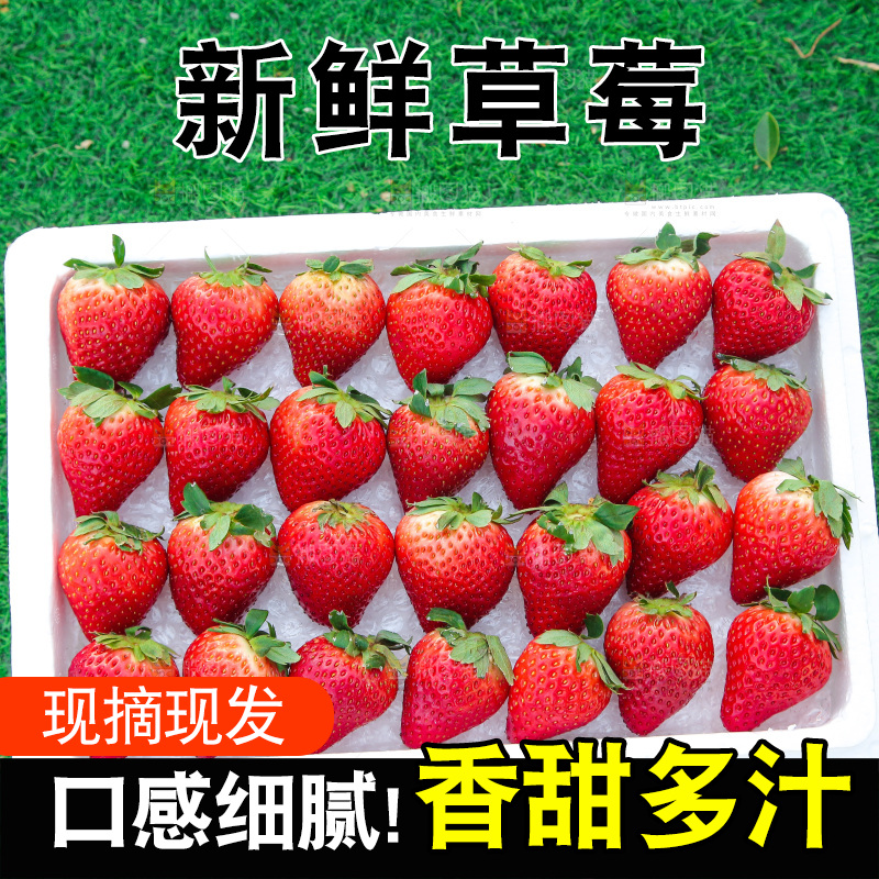 箱子里装的新鲜草莓
