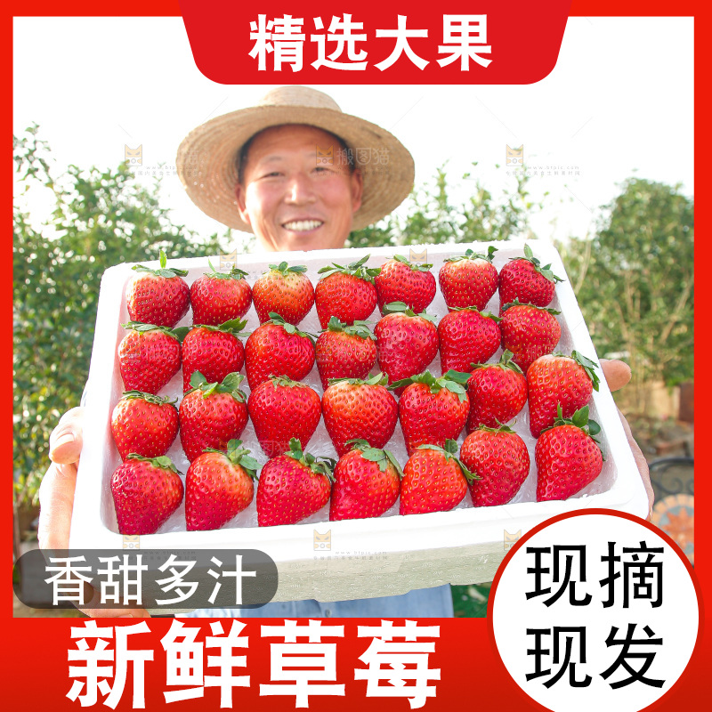 箱子里装的新鲜草莓