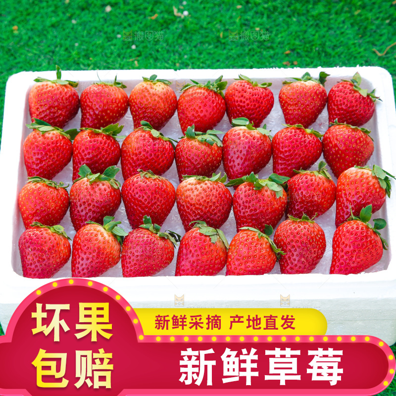 箱子里装的新鲜草莓