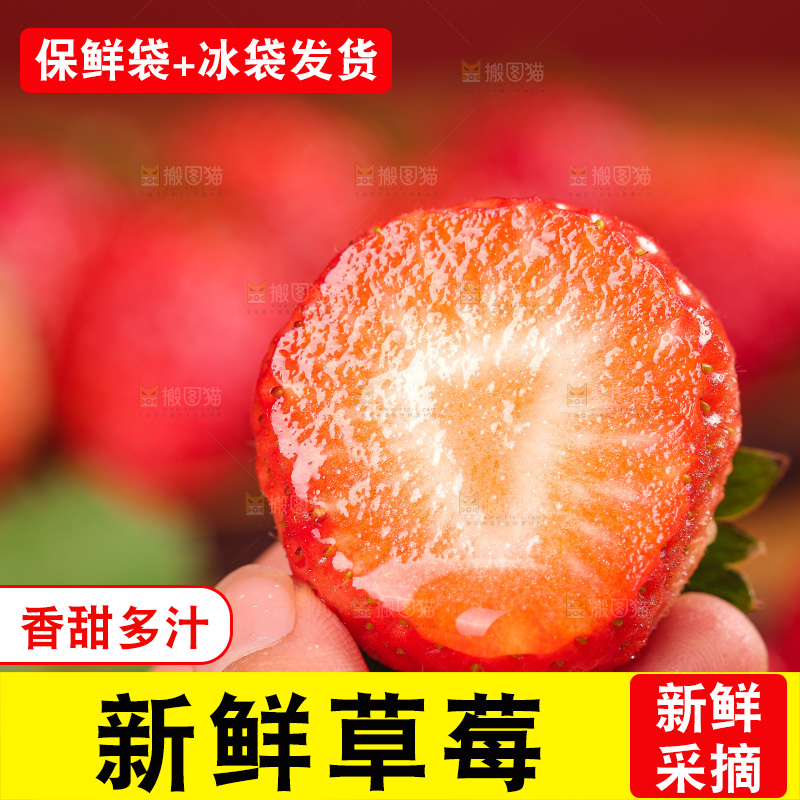 浅底上的丹东草莓