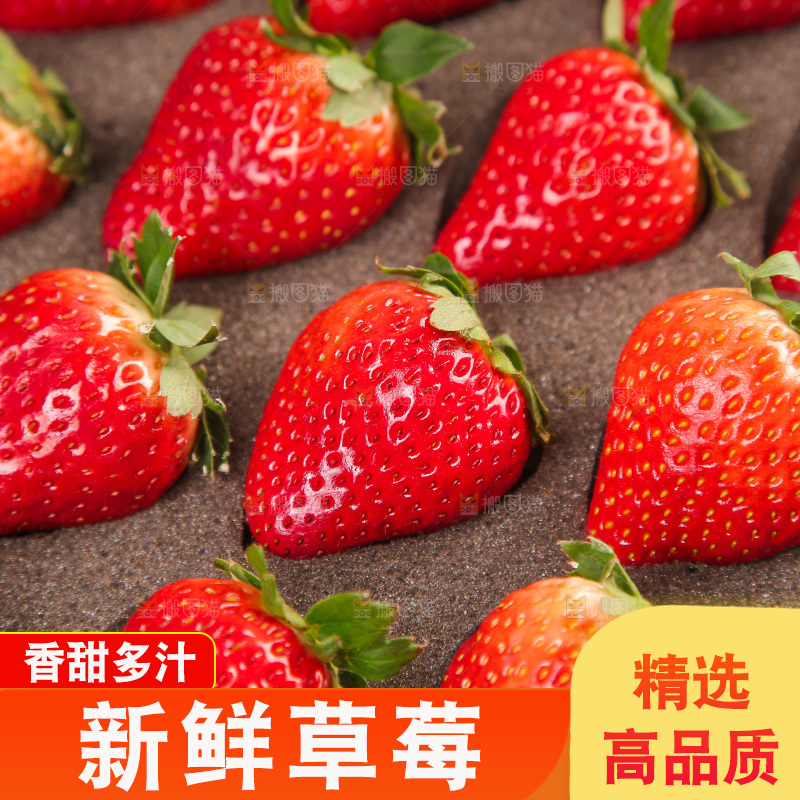 浅底上的丹东草莓