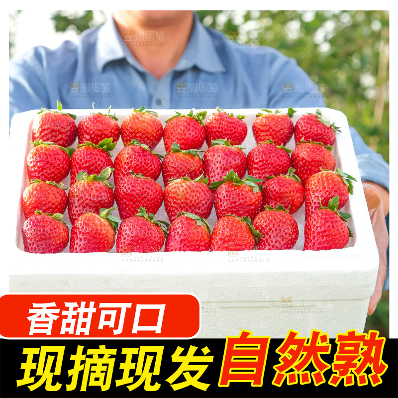 箱子里装的新鲜草莓