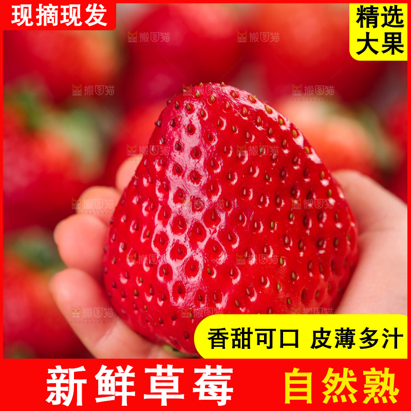 浅底上的丹东草莓