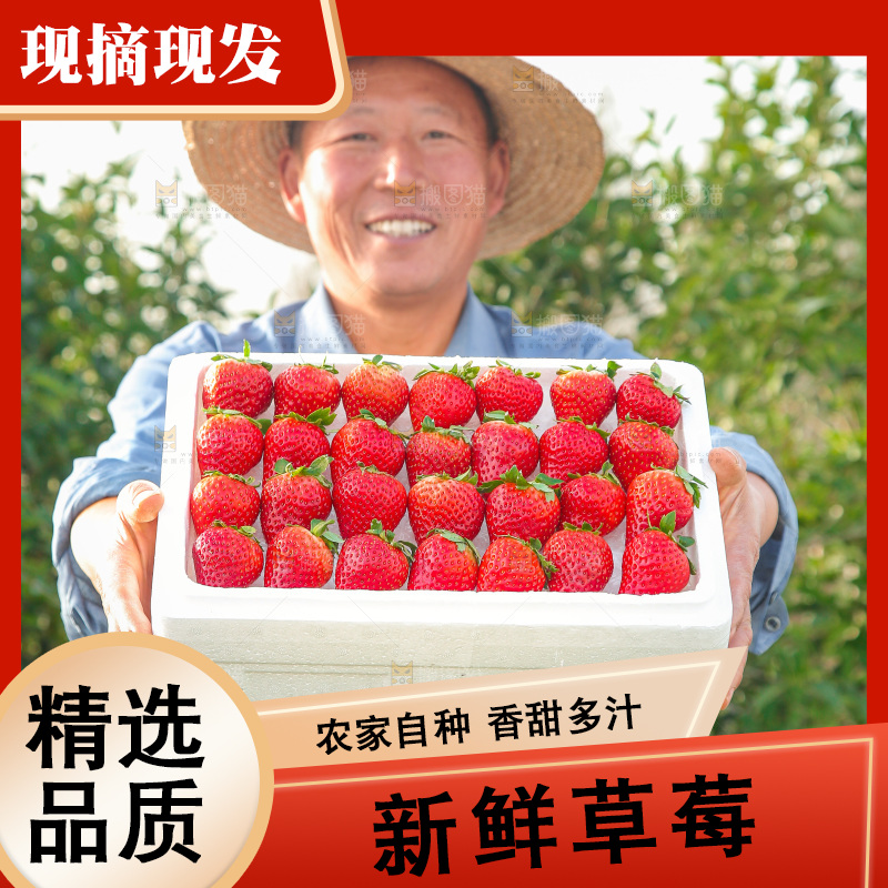箱子里装的新鲜草莓