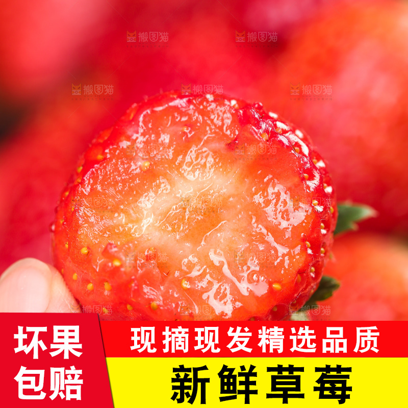 浅底上的丹东草莓