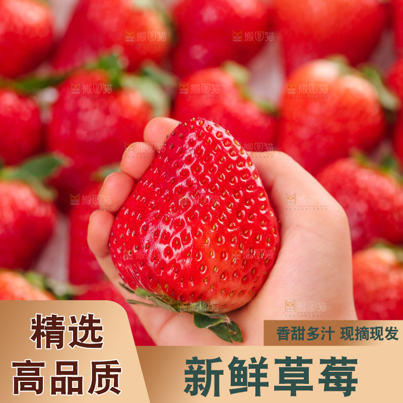浅底上的丹东草莓