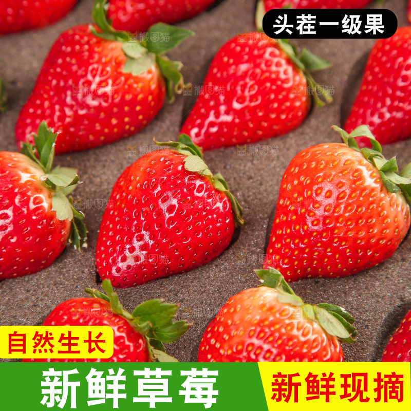 浅底上的丹东草莓