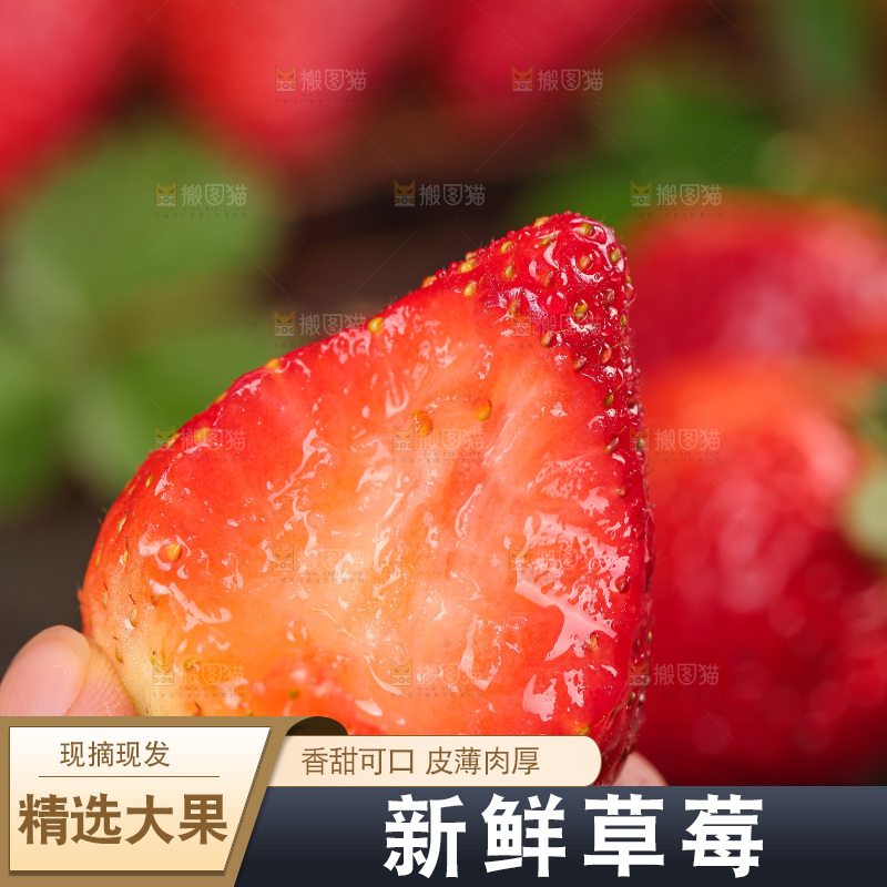 浅底上的丹东草莓