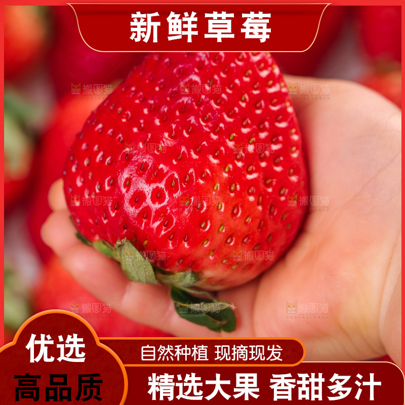 浅底上的丹东草莓