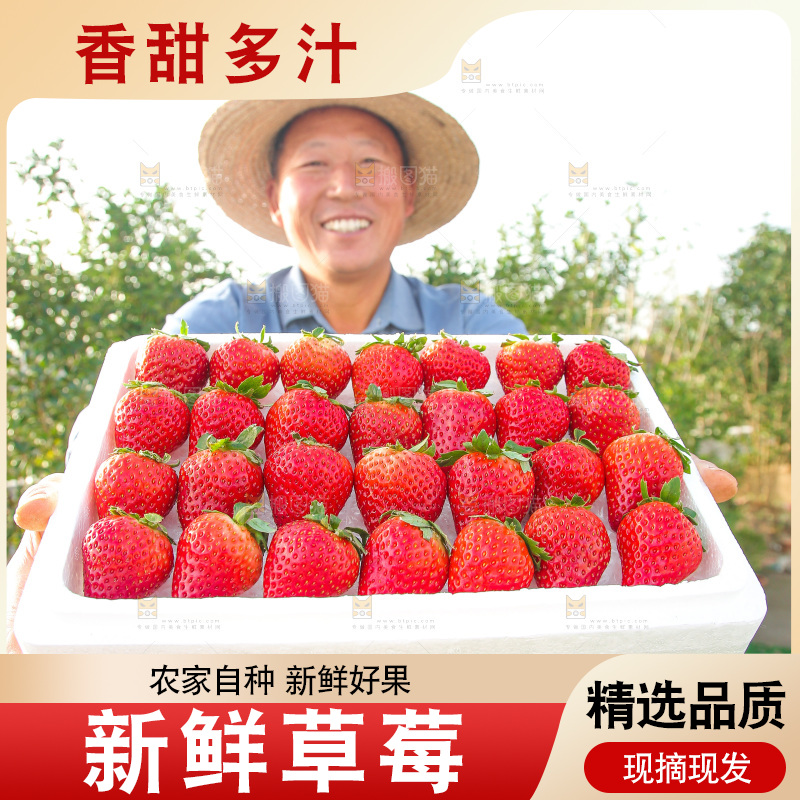 箱子里装的新鲜草莓