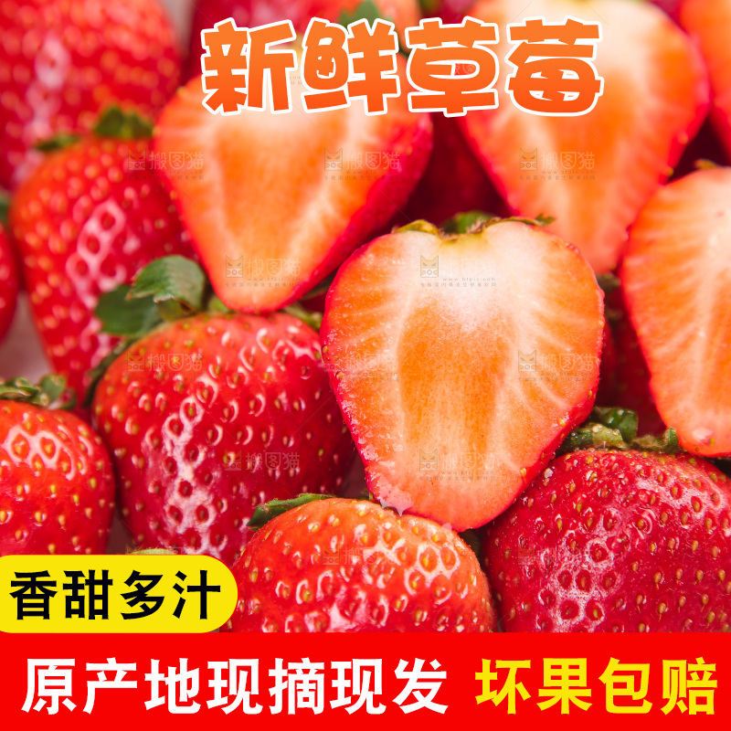 浅底上的丹东草莓