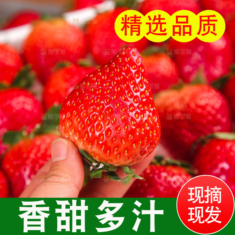 箱子里装的新鲜草莓