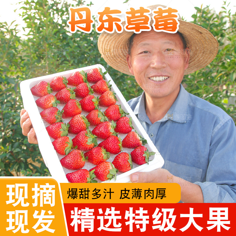 箱子里装的新鲜草莓