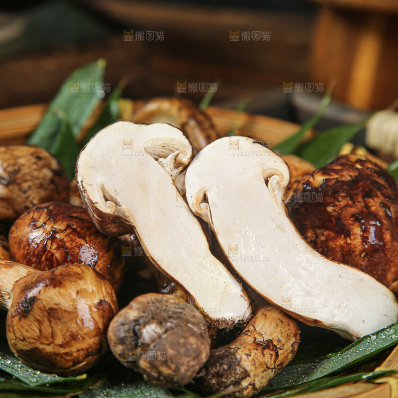 深底上的松茸菇