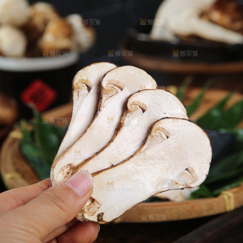 深底上的松茸菇