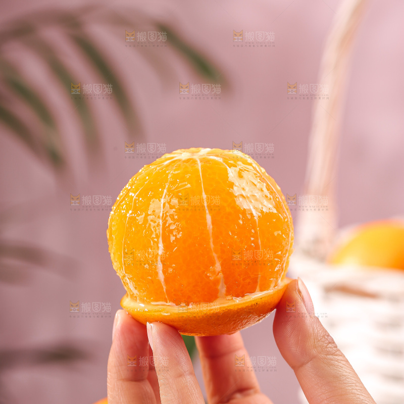 浅底上的麻阳冰糖橙
