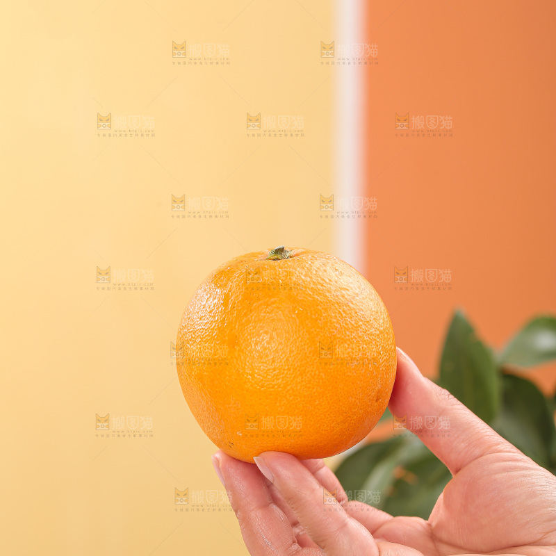 浅底上的麻阳冰糖橙