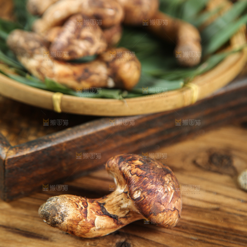 深底上的松茸菇