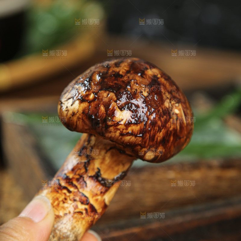 深底上的松茸菇