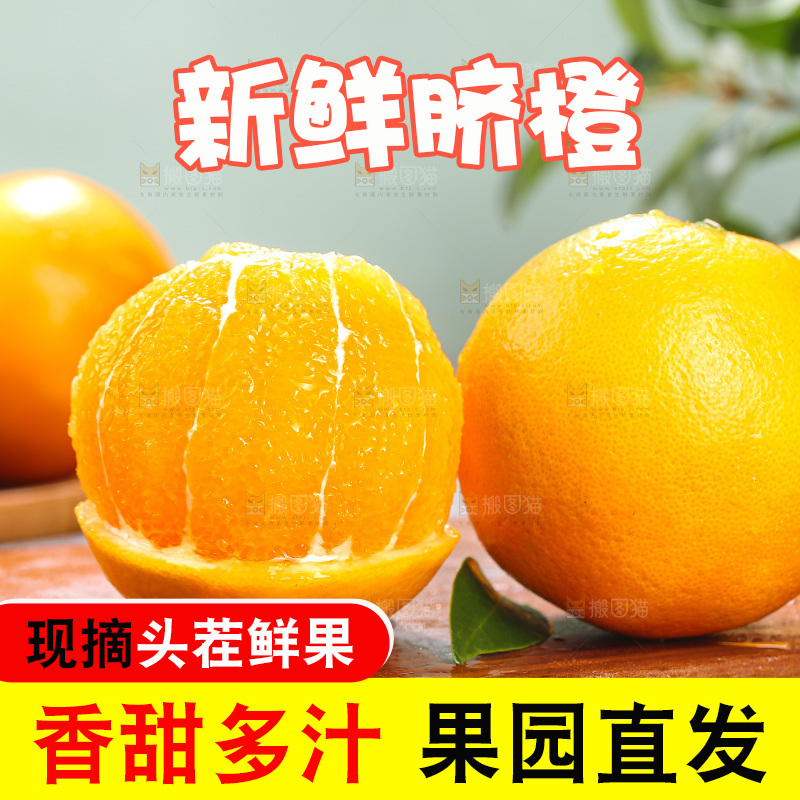 脐橙主图